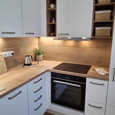 Apartman U Rakosnicka Boží Dar Esterno foto