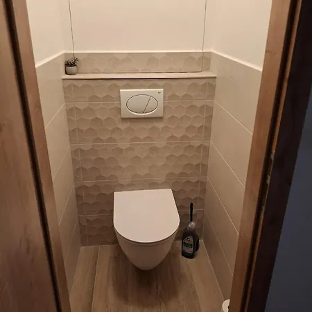 Apartman U Rakosnicka Boží Dar Esterno foto