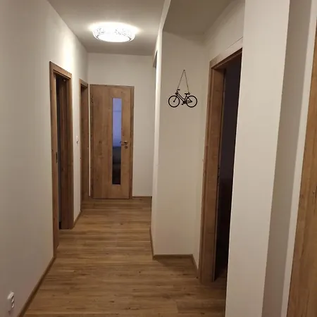 Apartman U Rakosnicka Boží Dar Esterno foto